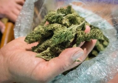 Над килограм марихуана са конфискували служители от Трето РУ при