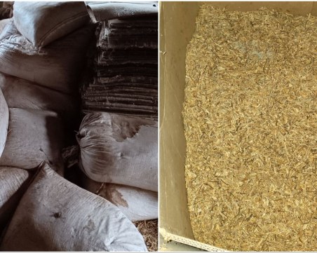 Разбиха фабрика за контрабанден тютюн в Пловдив, задържаха 50-годишен мъж