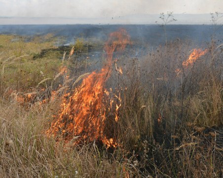 Изгоряха 30 декара жито край Сарая, има задържан за пожара