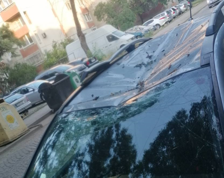 Клон падна върху паркирани автомобили в Кючука