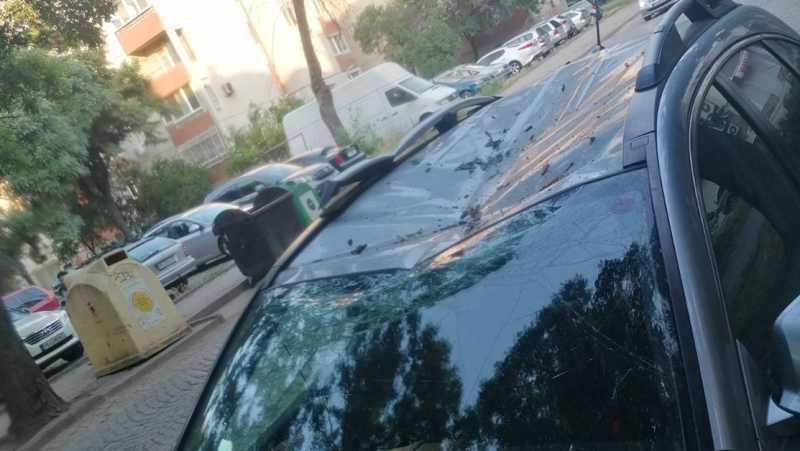 Клон падна върху паркирани автомобили в Кючука