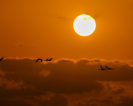 Днес е най-дългият ден от годината