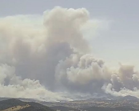 Гърция е обхваната от пожари, евакуират туристи