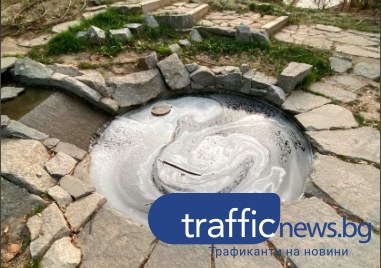 За фонтан в ужасно състояние сигнализираха читатели на TrafficNews Пловдивчани