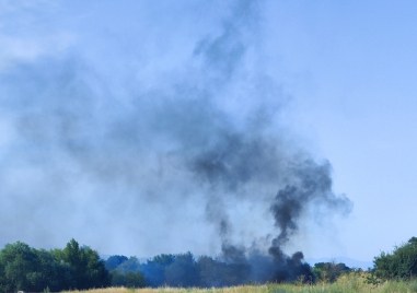 Отново запалиха отпадъци край поречието на Марица в района пловдивския