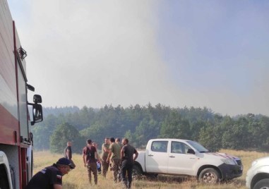 Потушен е пожар възникнал край лесичовското село Боримечково Сигнал за