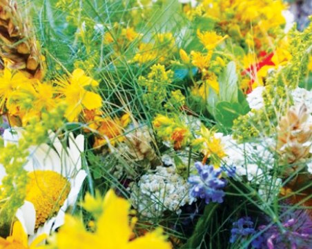 Еньовден е – древен и тайнствен! Вижте какви са народните вярвания и кой празнува днес