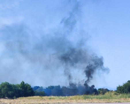 Отново! Горят отпадъци в района на река Марица в Пловдив