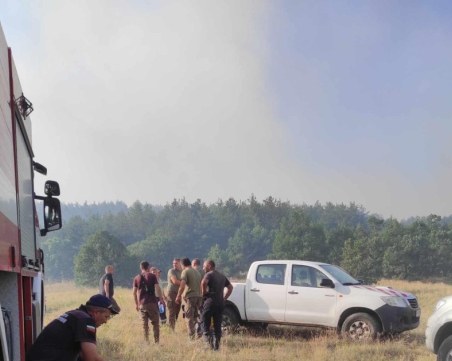 Потушиха голям пожар в Пазарджишко, засегнати са 500 декара