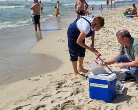 Министъра на туризма: До 2-3 дни в морето край Кранево ще може да се влиза