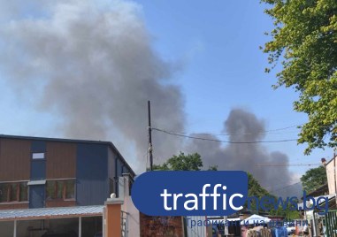 Голям пожар е избухнал на Рогошко шосе в Пловдив сигнализираха