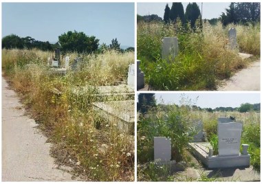 Избуяла растителност възмути посетители на пловдивските Рогошки гробища през почивните