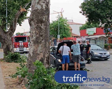 Голям клон се стовари върху кола на оживен булевард в Пловдив
