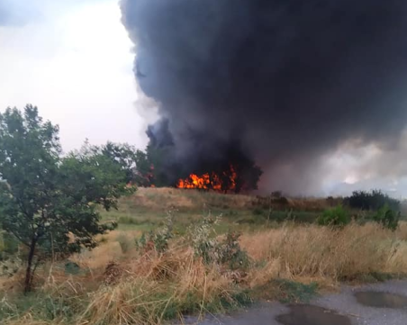 Голям пожар в Труд, екипи от Пловдив овладяват огъня