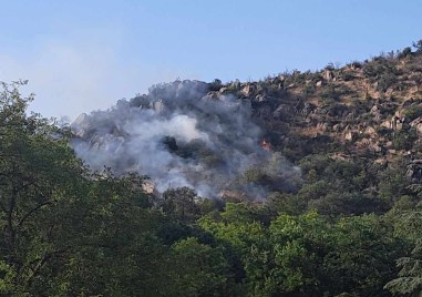 Пожарът на Младежки хълм е локализиран съобщиха от Пожарната Въпреки