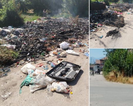 Роми изхвърлят боклуци с бусове в Пазарджишко, направиха цяло сметище