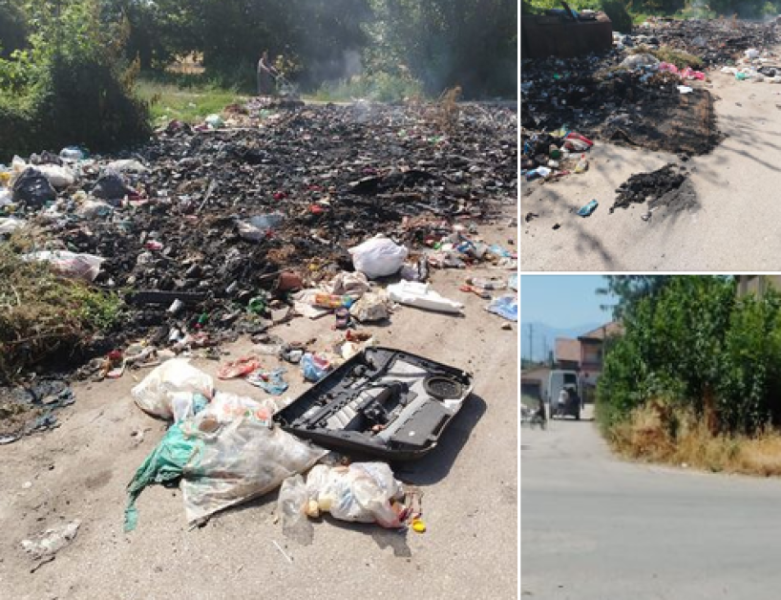 Роми изхвърлят боклуци с бусове в Пазарджишко, направиха цяло сметище
