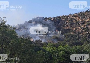 Потушиха огъня на Младежкия хълм Засегнати са около 100 кв
