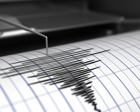 Две са земетресенията регистрирани в Пловдив днес, трус и в Кърджалийско