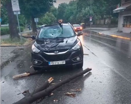 Огромно дърво се стовари върху движещ се автомобил в Пловдив