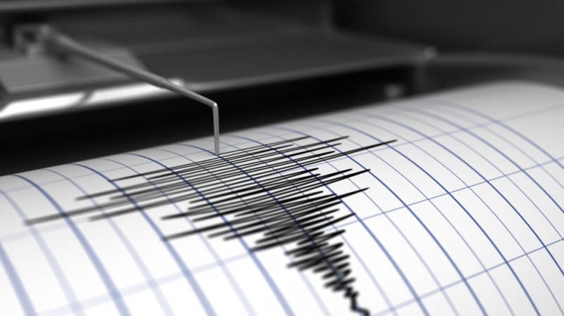 Две са земетресенията регистрирани в Пловдив днес, трус и в Кърджалийско