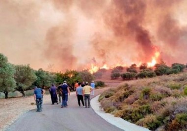 Пожар избухна днес на остров Лесбос в източно Егейско море