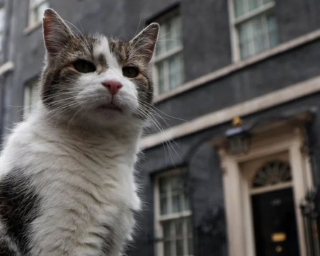 Котаракът Лари ще посрещне 6-ти премиер на 