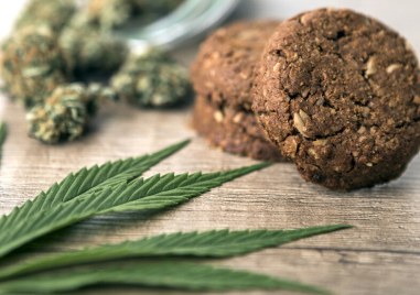 Районна прокуратура Плевен разследва сигнал за деца постъпили в УМБАЛ Др Георги