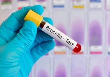 Мъж от Ямболско е с положителна проба за бруцелоза Здравните