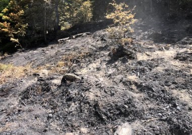 Пожар бушува в подножието на Сърнена Средна гора съобщиха от