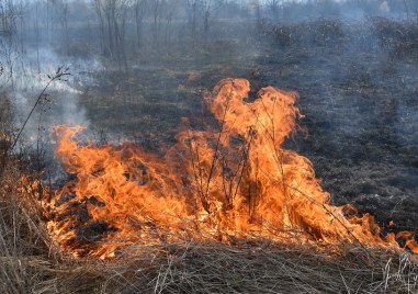 Голям пожар в региона на Одрин в непосредствена близост до