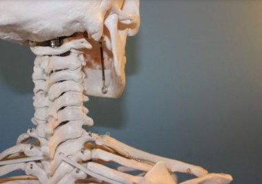 Група деца е откраднала учебен скелет и различни археологически пособия