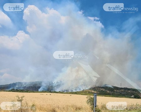 Четири пожара на голям фронт горят в Пловдивско, има опасност за близките села