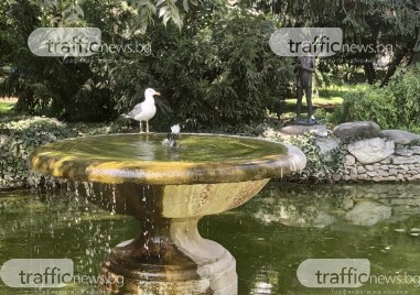 Днес отново ще бъде слънчево и горещо Остава в сила и