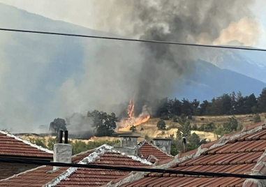 Пожарите в страната не спират да бушуват Огнени пламъци са