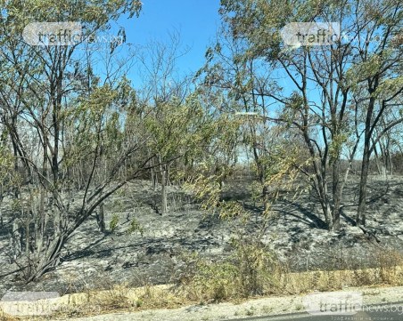 Доброволци от ДФ „Пловдив 112