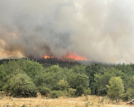 Зам.-министърът на земеделието се запозна на място със ситуацията с големия пожар край Хисаря