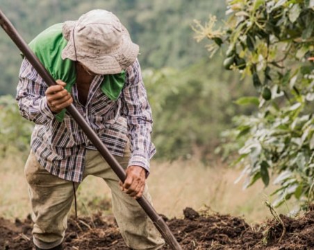 Земеделец е предизвикал големия пожар в Свиленградско, мъжът е с втора степен изгаряния