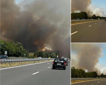 Голям пожар на АМ 