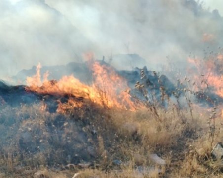 Калин Стоянов: Булдозери от армията ще градят просеки в Свиленградско