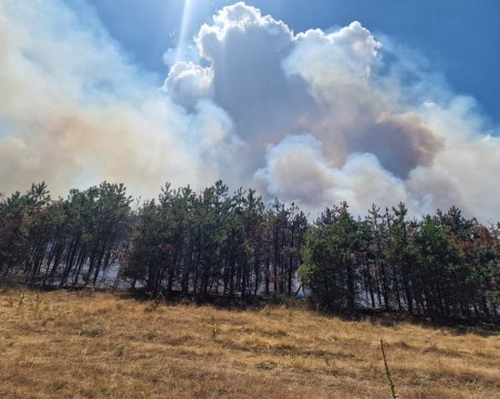 Момче е с тежки изгаряния от пламъците в Свиленградско, борят се за него в Пловдив