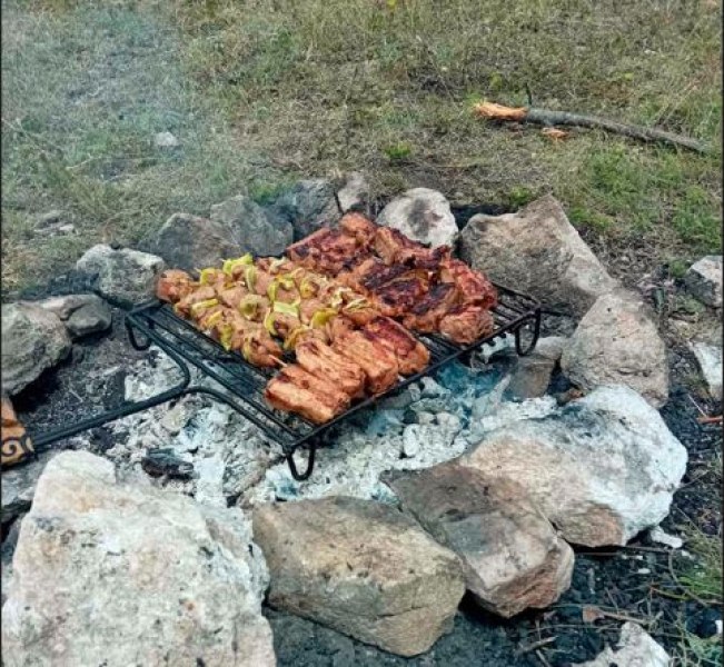 Акция край Пловдив: Петима отнесоха актове заради палене на огън по време на пикник