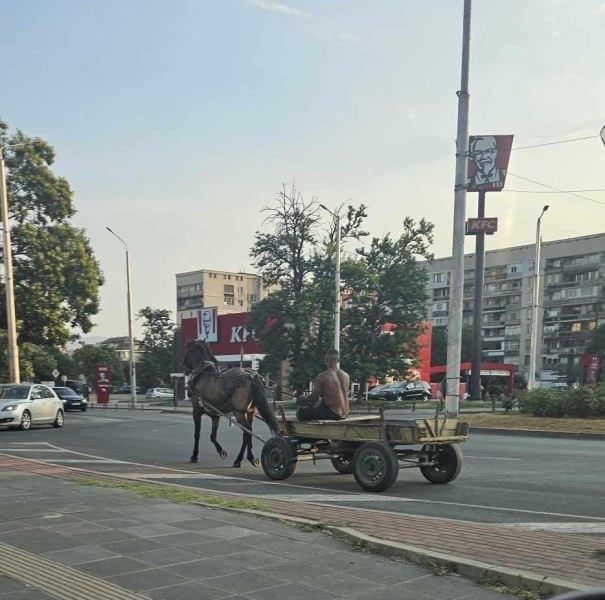 С каруца в Пловдив? Може и в насрещното!