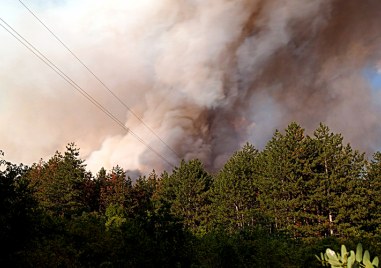 Европейската комисия съобщи че ЕС изпраща помощ за борба с