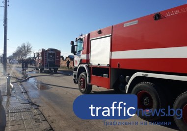 Пожар е обхванал иглолистна гора в землището на град Стрелча