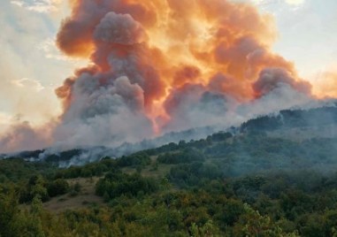 Периметърът на големия пожар северно от Стара Загора е заграден