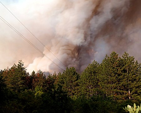 ЕС изпраща помощ на България за борба с пожарите
