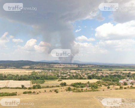 Областният управител за пожара в Отец Паисиево: Ситуацията е сериозна, трябва ни военна помощ