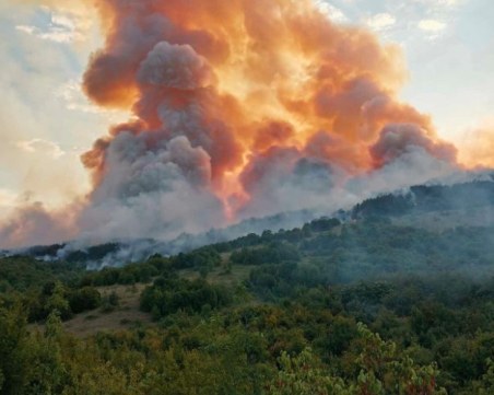 Шест са огнищата на пожара край Стара Загора, периметърът е около 12 км