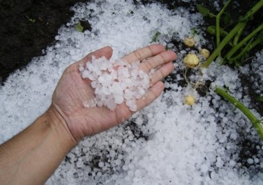 Градушка унищожи плодови насаждения в няколко села в община Сливо